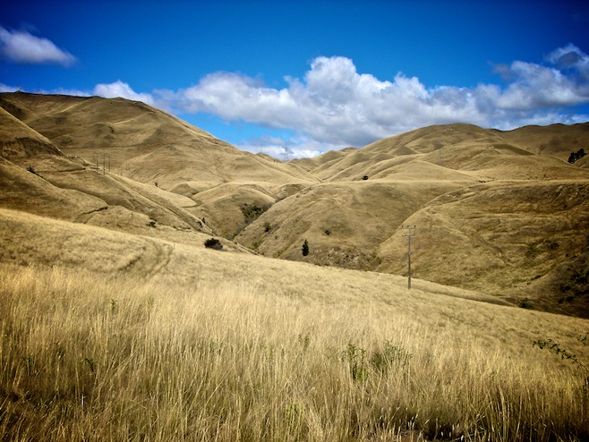 Picton, NZ